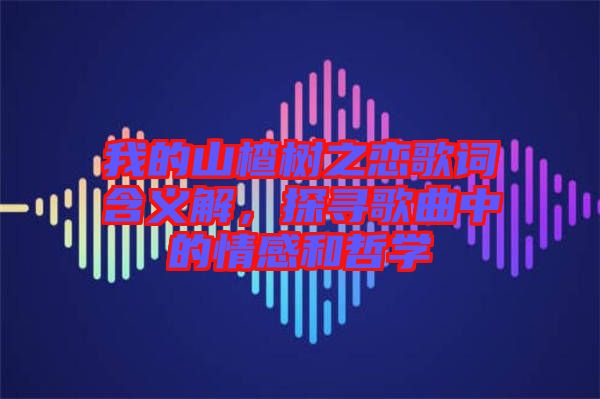 我的山楂樹之戀歌詞含義解，探尋歌曲中的情感和哲學(xué)