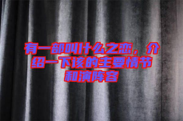 有一部叫什么之戀，介紹一下該的主要情節(jié)和演陣容