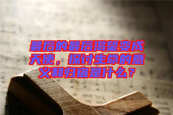 最后的最后渴望變成天使，探討生命的意義和歸宿是什么？