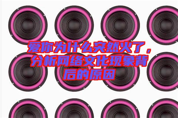 愛(ài)你為什么突然火了，分析網(wǎng)絡(luò)文化現(xiàn)象背后的原因
