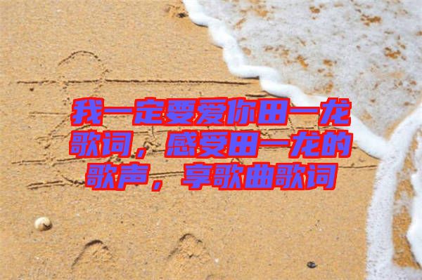 我一定要愛你田一龍歌詞，感受田一龍的歌聲，享歌曲歌詞