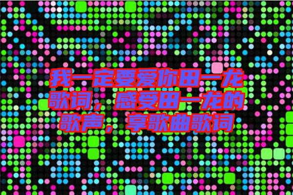 我一定要愛你田一龍歌詞，感受田一龍的歌聲，享歌曲歌詞
