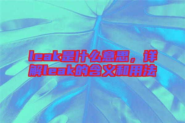 leak是什么意思，詳解leak的含義和用法