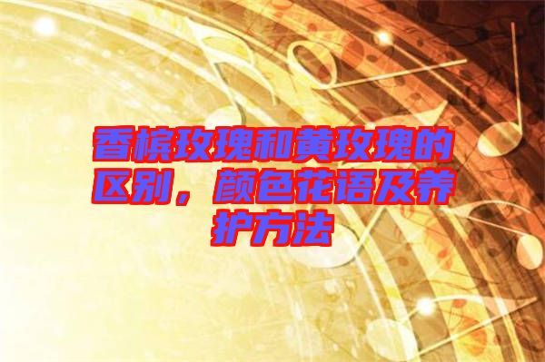 香檳玫瑰和黃玫瑰的區(qū)別，顏色花語及養(yǎng)護(hù)方法