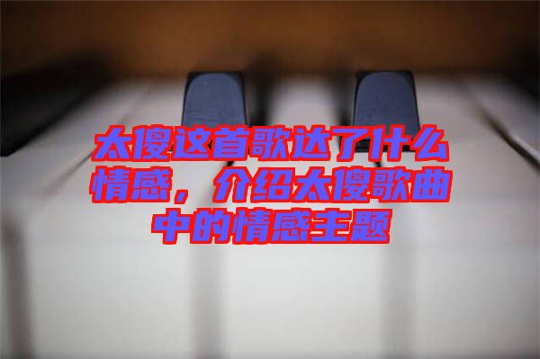 太傻這首歌達了什么情感，介紹太傻歌曲中的情感主題