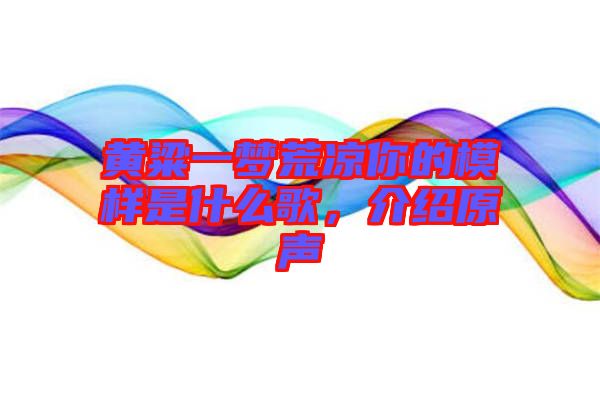 黃粱一夢荒涼你的模樣是什么歌，介紹原聲