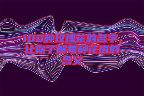 100種玫瑰花的名字，讓你了解每種花語(yǔ)的含義