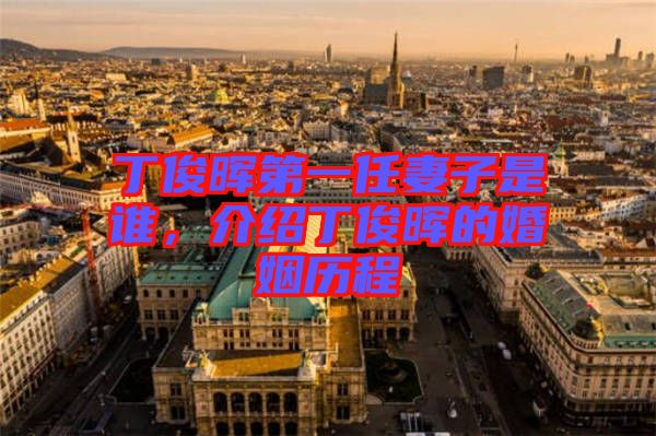 丁俊暉第一任妻子是誰，介紹丁俊暉的婚姻歷程