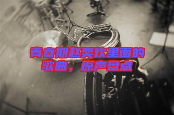 青春期趙奕歡里面的歌曲，原聲盤點