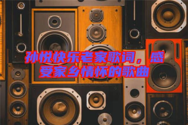 孫悅快樂老家歌詞，感受家鄉(xiāng)情懷的歌曲