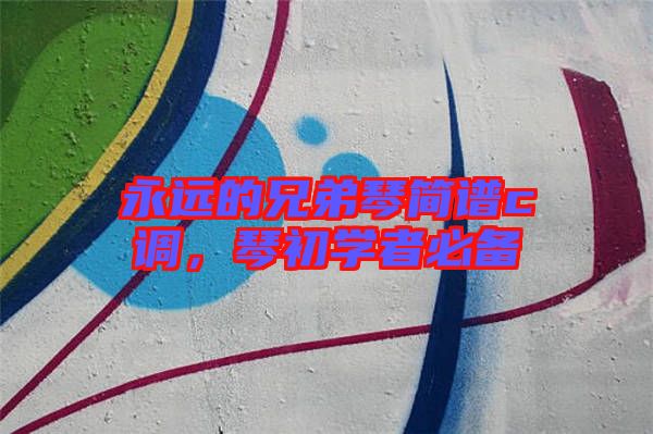 永遠(yuǎn)的兄弟琴簡譜c調(diào)，琴初學(xué)者必備