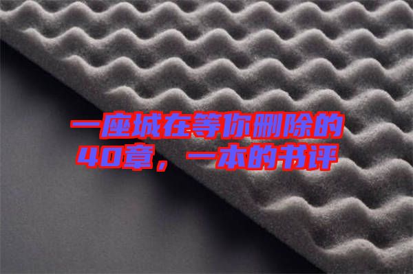 一座城在等你刪除的40章，一本的書(shū)評(píng)