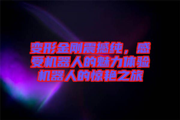 變形金剛震撼純，感受機(jī)器人的魅力體驗(yàn)機(jī)器人的驚艷之旅