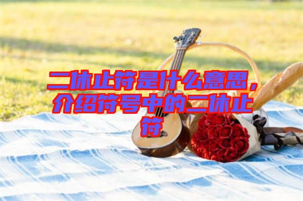 二休止符是什么意思，介紹符號(hào)中的二休止符