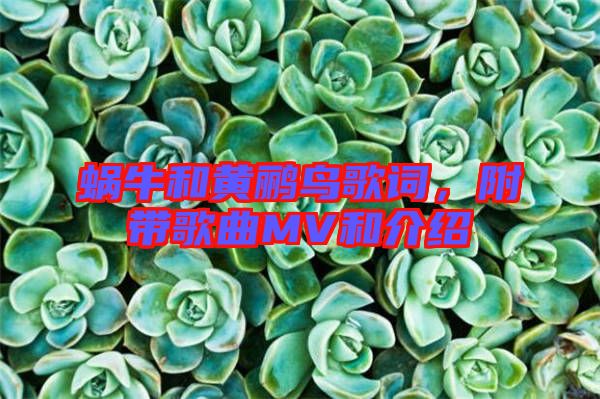 蝸牛和黃鸝鳥歌詞，附帶歌曲MV和介紹
