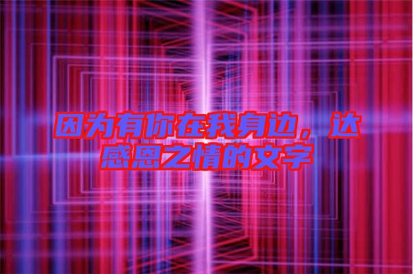 因為有你在我身邊，達感恩之情的文字