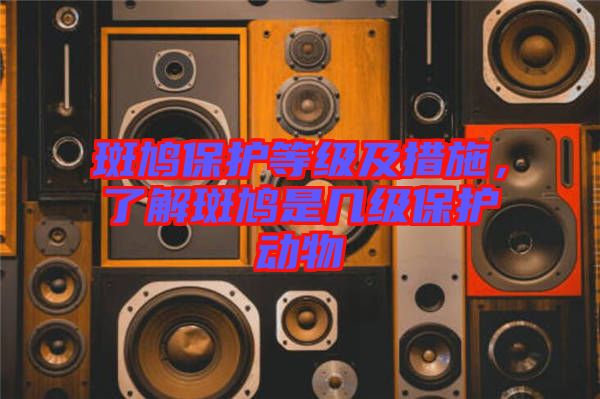 斑鳩保護等級及措施，了解斑鳩是幾級保護動物