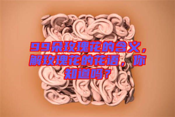 99朵玫瑰花的含義，解玫瑰花的花語，你知道嗎？
