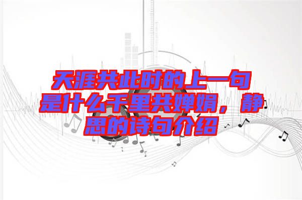 天涯共此時的上一句是什么千里共嬋娟，靜思的詩句介紹