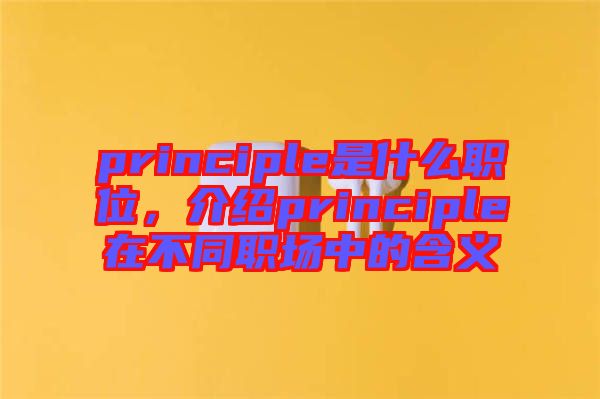 principle是什么職位，介紹principle在不同職場中的含義