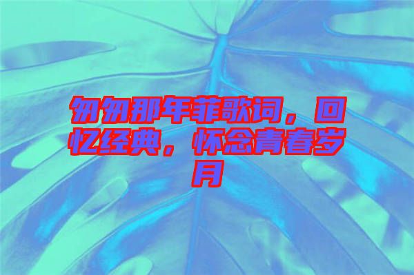 匆匆那年菲歌詞，回憶經(jīng)典，懷念青春歲月