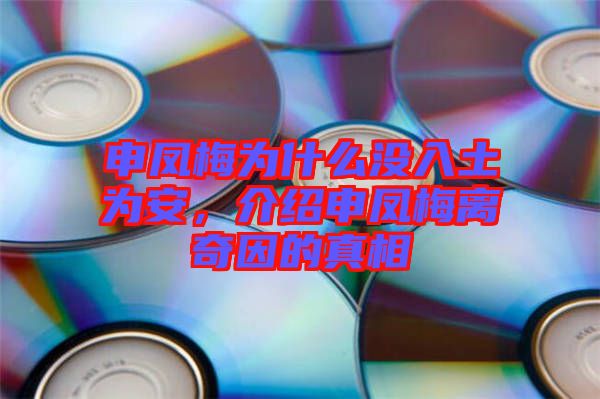 申鳳梅為什么沒(méi)入土為安，介紹申鳳梅離奇因的真相