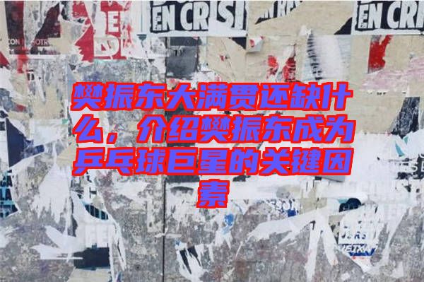 樊振東大滿貫還缺什么，介紹樊振東成為乒乓球巨星的關(guān)鍵因素
