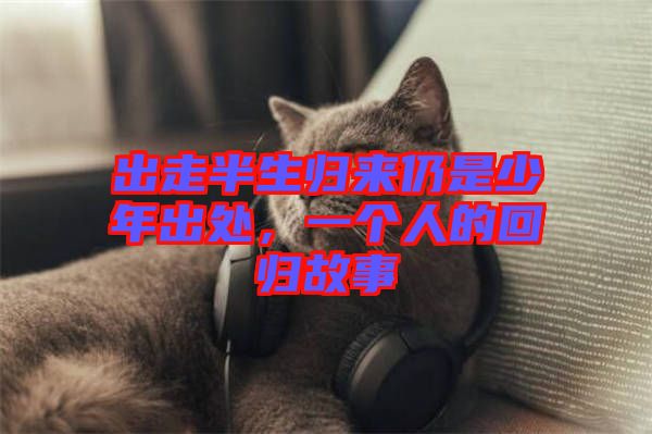 出走半生歸來仍是少年出處，一個(gè)人的回歸故事