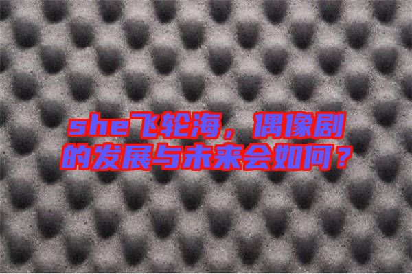 she飛輪海，偶像劇的發(fā)展與未來會(huì)如何？