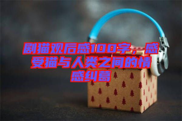 劇貓觀后感100字，感受貓與人類之間的情感糾葛