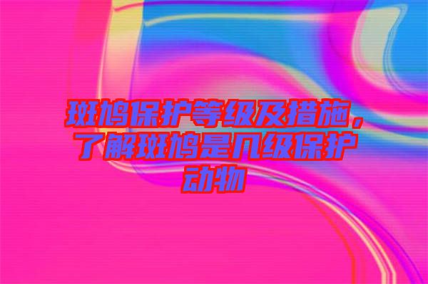 斑鳩保護(hù)等級及措施，了解斑鳩是幾級保護(hù)動(dòng)物