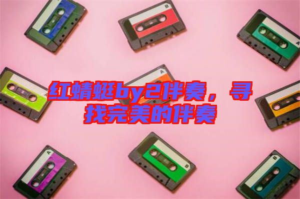 紅蜻蜓by2伴奏，尋找完美的伴奏