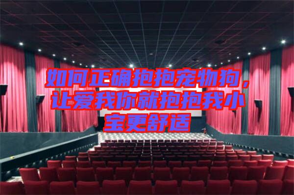 如何正確抱抱寵物狗，讓愛我你就抱抱我小寶更舒適