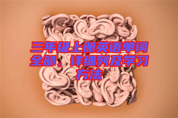 三年級上冊英語單詞全部，詳細(xì)列及學(xué)習(xí)方法