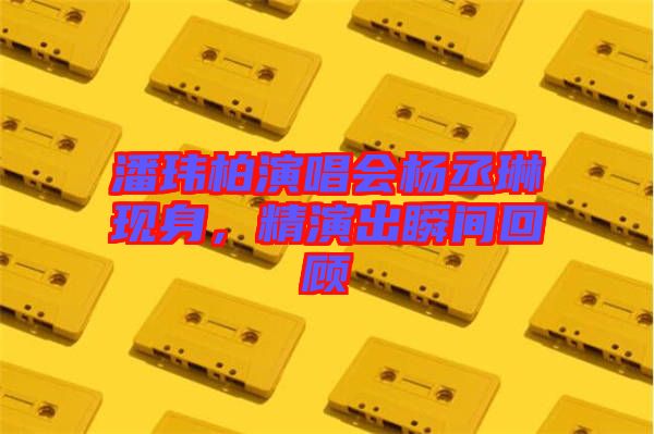 潘瑋柏演唱會楊丞琳現(xiàn)身，精演出瞬間回顧