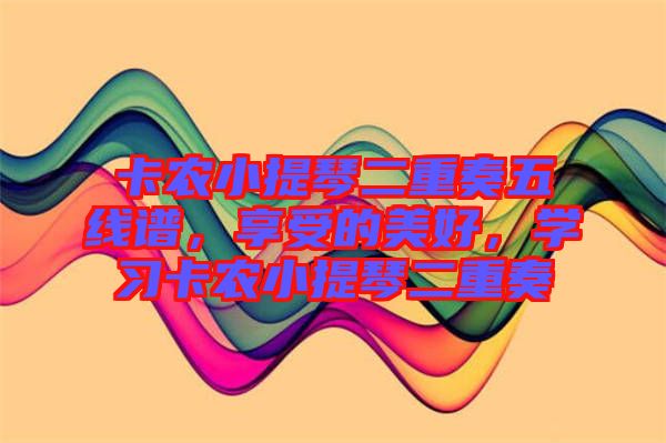 卡農(nóng)小提琴二重奏五線譜，享受的美好，學(xué)習(xí)卡農(nóng)小提琴二重奏