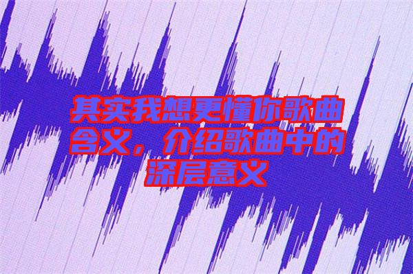 其實(shí)我想更懂你歌曲含義，介紹歌曲中的深層意義
