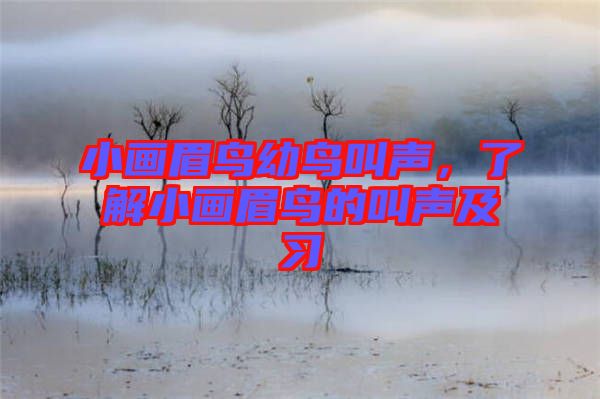 小畫眉鳥幼鳥叫聲，了解小畫眉鳥的叫聲及習(xí)