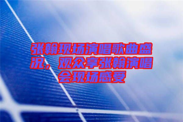 張翰現(xiàn)場(chǎng)演唱歌曲盛況，觀眾享張翰演唱會(huì)現(xiàn)場(chǎng)感受
