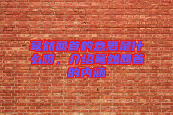 驀然回首的意思是什么呀，介紹驀然回首的內(nèi)涵