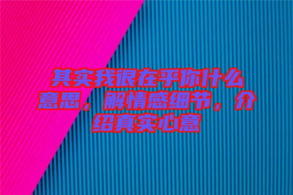 其實我很在乎你什么意思，解情感細(xì)節(jié)，介紹真實心意