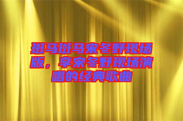斑馬斑馬宋冬野現(xiàn)場(chǎng)版，享宋冬野現(xiàn)場(chǎng)演唱的經(jīng)典歌曲