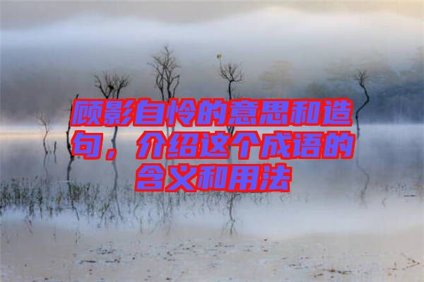 顧影自憐的意思和造句，介紹這個成語的含義和用法