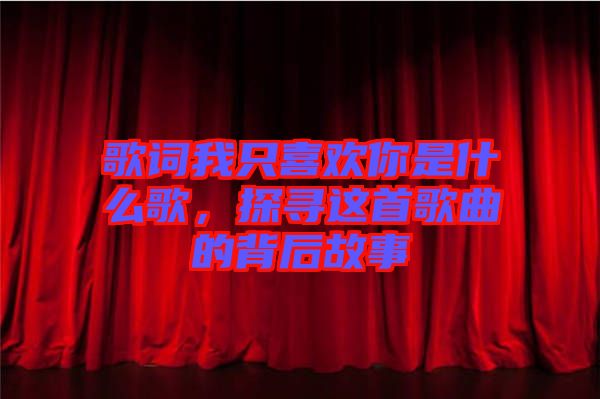歌詞我只喜歡你是什么歌，探尋這首歌曲的背后故事