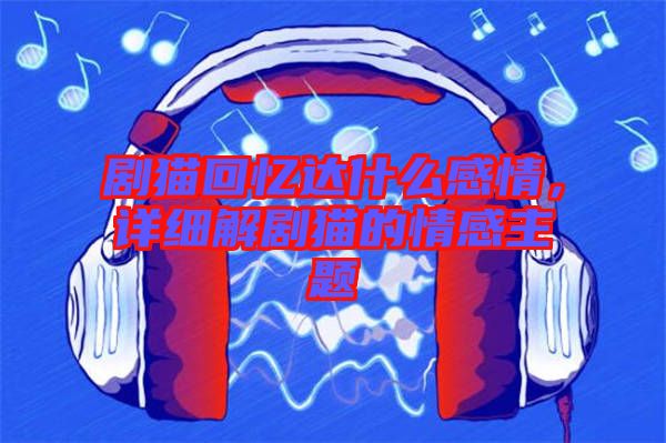 劇貓回憶達什么感情，詳細解劇貓的情感主題