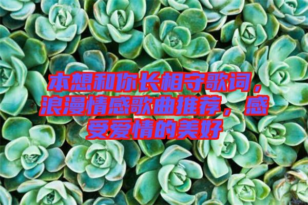 本想和你長相守歌詞，浪漫情感歌曲推薦，感受愛情的美好