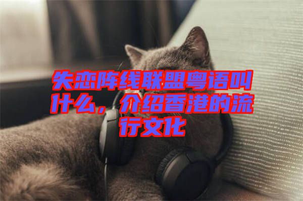 失戀陣線聯(lián)盟粵語叫什么，介紹香港的流行文化