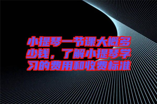 小提琴一節(jié)課大概多少錢(qián)，了解小提琴學(xué)習(xí)的費(fèi)用和收費(fèi)標(biāo)準(zhǔn)