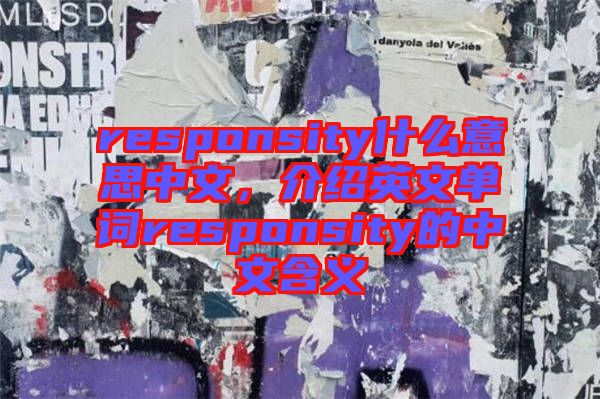 responsity什么意思中文，介紹英文單詞responsity的中文含義