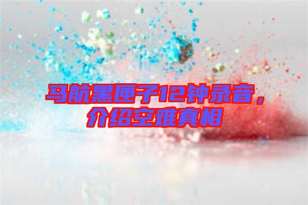 馬航黑匣子12鐘錄音，介紹空難真相